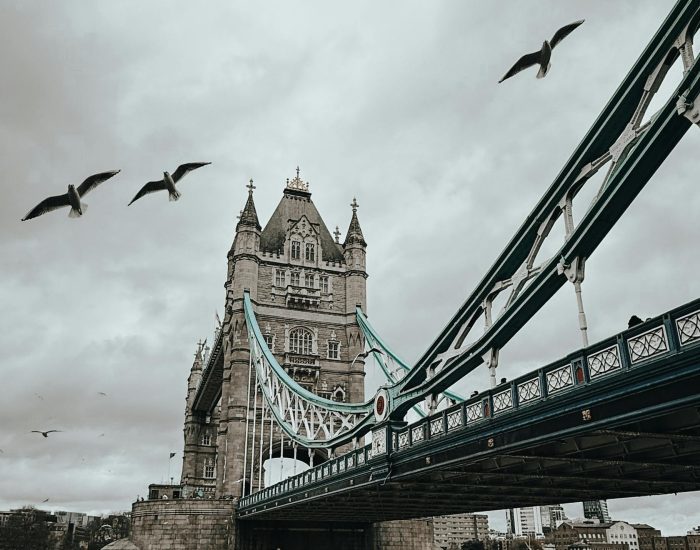 Scenic view of London's iconic Tower Bridge with birds flying overhead, capturing a moody urban landscape.